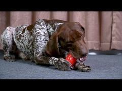 Realistisches Ribs Chew Toy - Dreifach dick klingender Leckerbissenstock