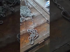 2 t Arbeitslastgrenze Zinkplattierte G70 Binderkette mit 2 Clevis Grab Haken garantiert