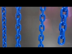 Injektionsstruktur Schwarzer Kunststoffkettenzaun für die Massenkontrolle