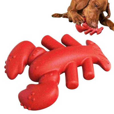 Ein guter Preis. Unzerstörbares Hummer-Hunde-Kauspielzeug - Endgültige Haltbarkeit Online