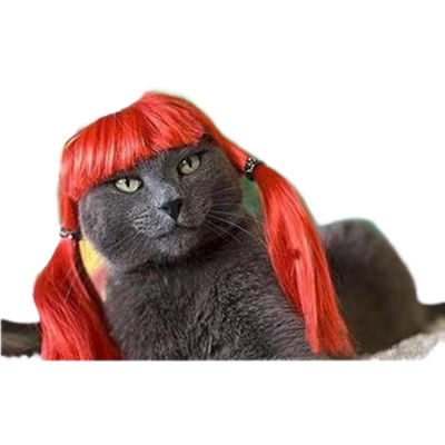 Ein guter Preis. Elegante schwarze lockige Haustierperücke für Katzen und Hunde - Luxuriös weich einstellbar, perfekt für formelle Veranstaltungen und Fotoshoots Online