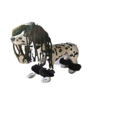Name